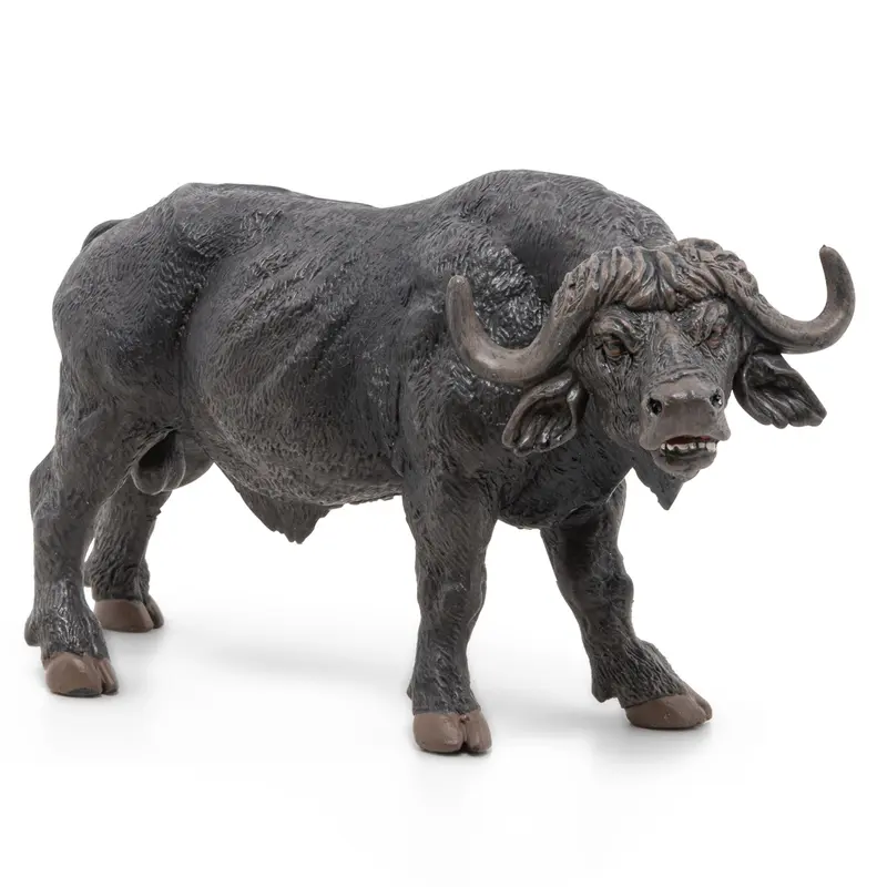 Afrikaanse Buffel