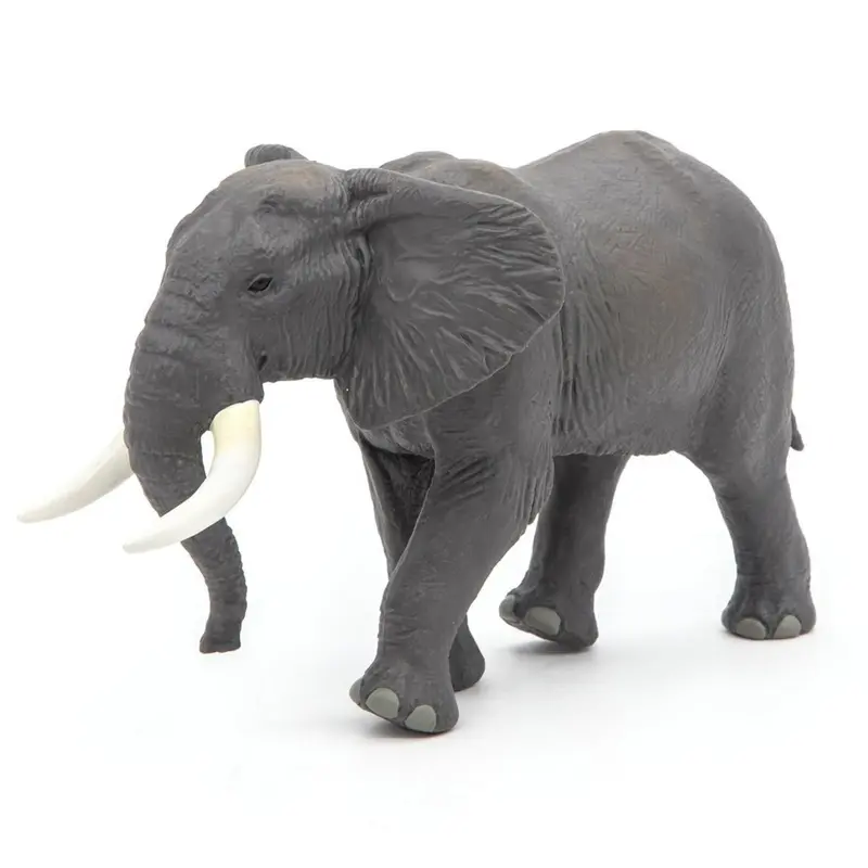 Afrikaanse Olifant