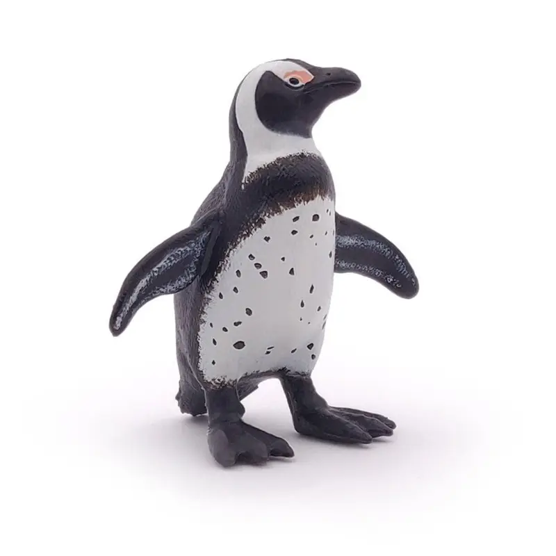 Afrikaanse Pinguïn