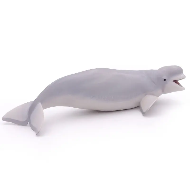 Beluga Walvis