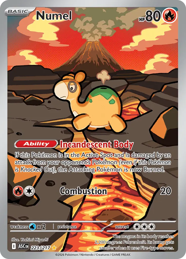 Numel ASC 223/217