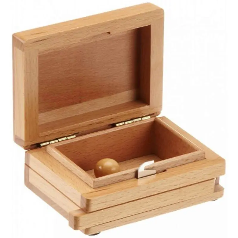 Secret Box Puzzel